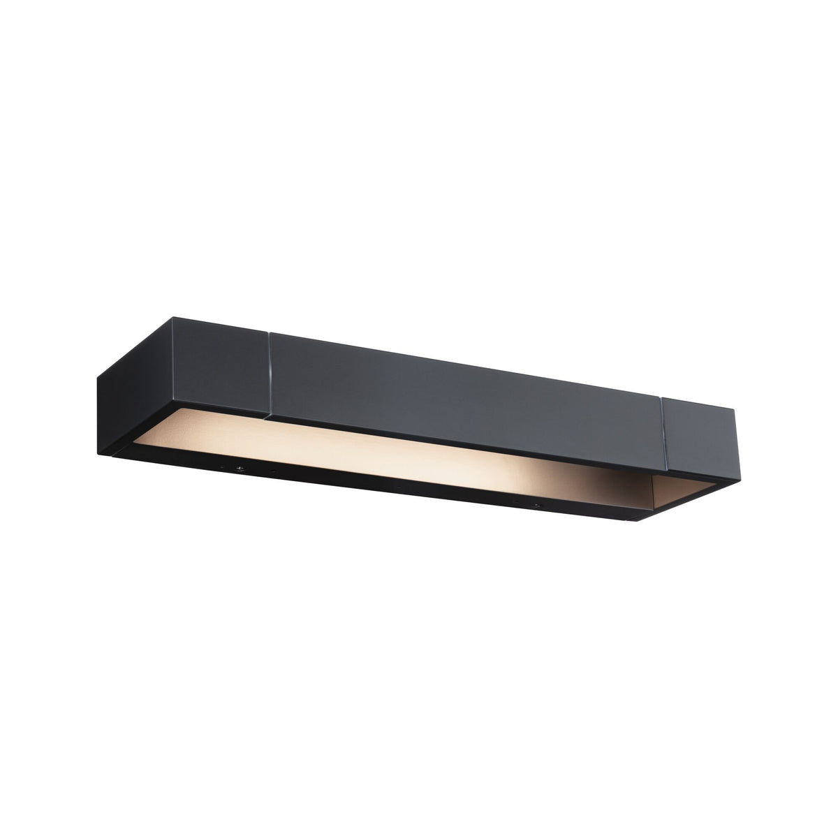 Paulmann Lucille LED-Wandleuchte in Schwarz, freigestellt
